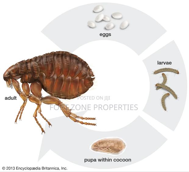 Pest Control Technician · Photo 2