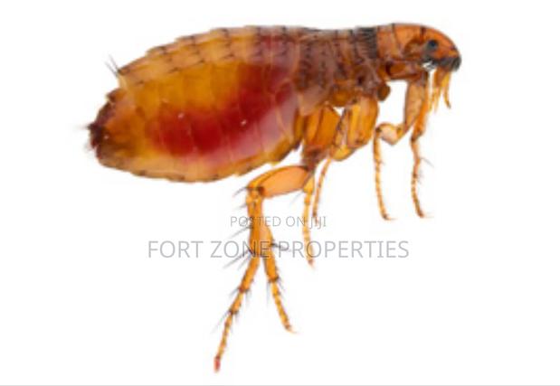 Pest Control Technician · Photo 3