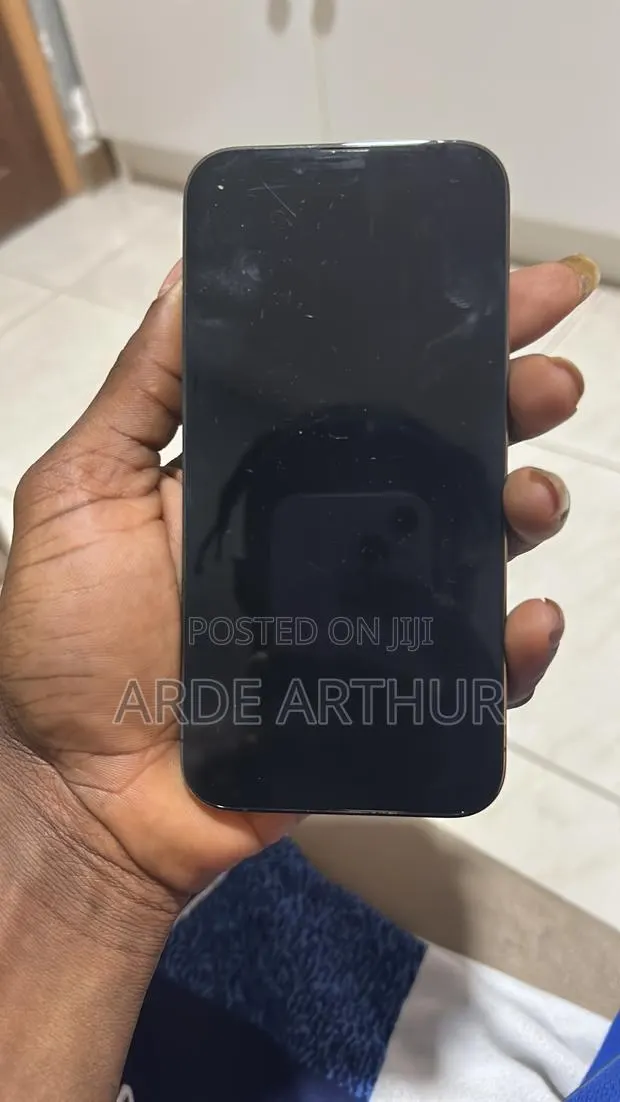 Apple iPhone 13 Pro 256 GB Gray · Photo 1