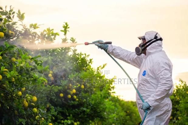 End of Year Clean Up Pest · Photo 1
