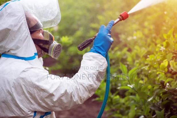 End of Year Clean Up Pest · Photo 2