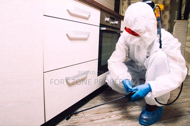Insect Masters · Photo 2