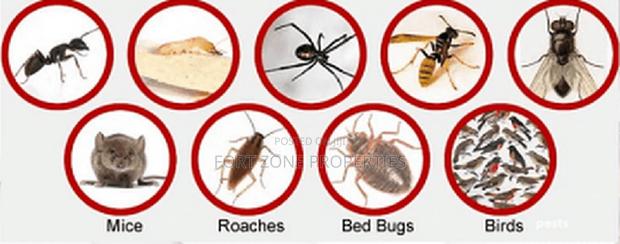 Caterpillars,Millipedes,Mosquitoes,Tick Etc Control · Photo 1