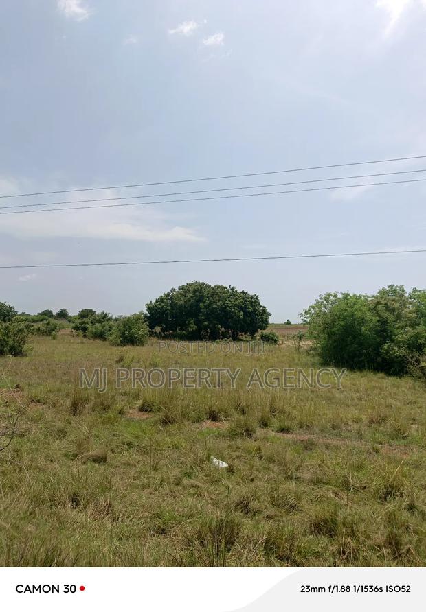 10 Acre at Tsopoli Roadside · Photo 3