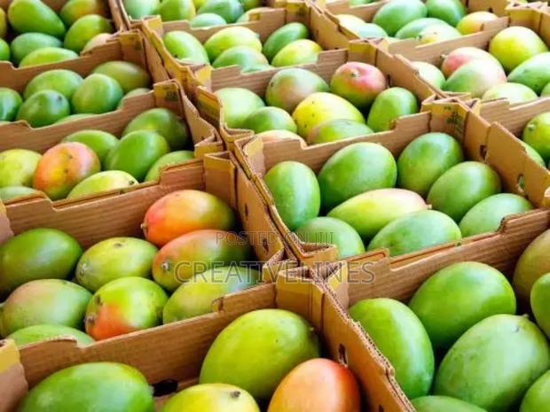 Supply of Mangoes · Photo 1