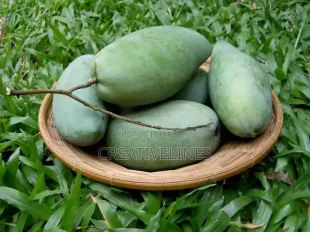Supply of Mangoes · Photo 2