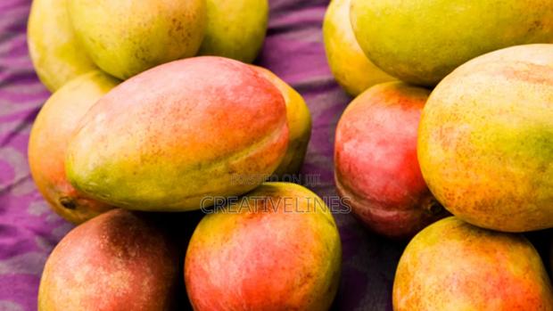 Supply of Mangoes · Photo 4