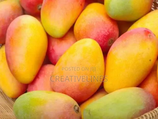 Supply of Mangoes · Photo 5