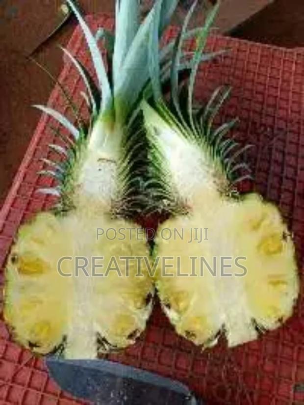 Supply of Pineapple · Photo 1