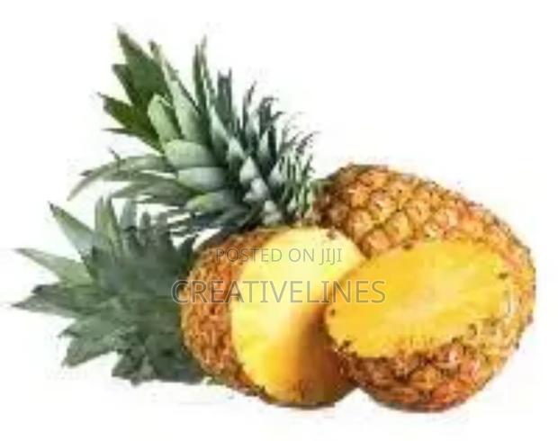 Supply of Pineapple · Photo 4