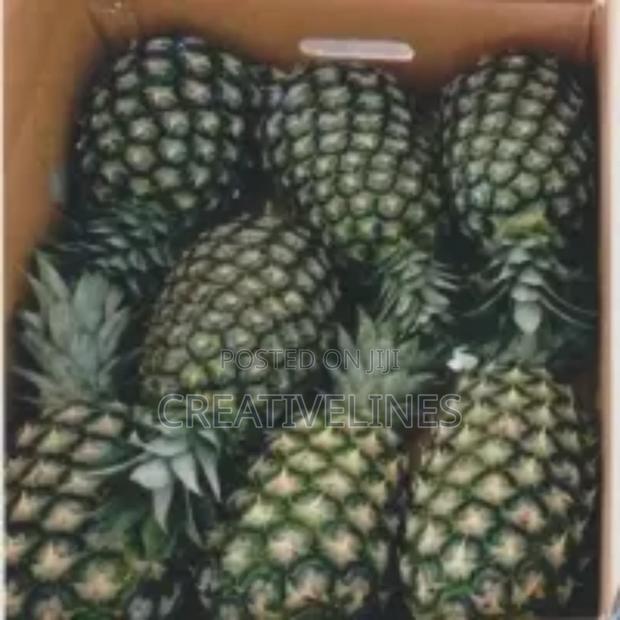 Supply of Pineapple · Photo 5