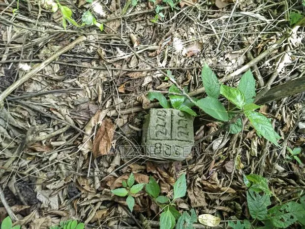Two Plots of Land for Sale · Photo 3