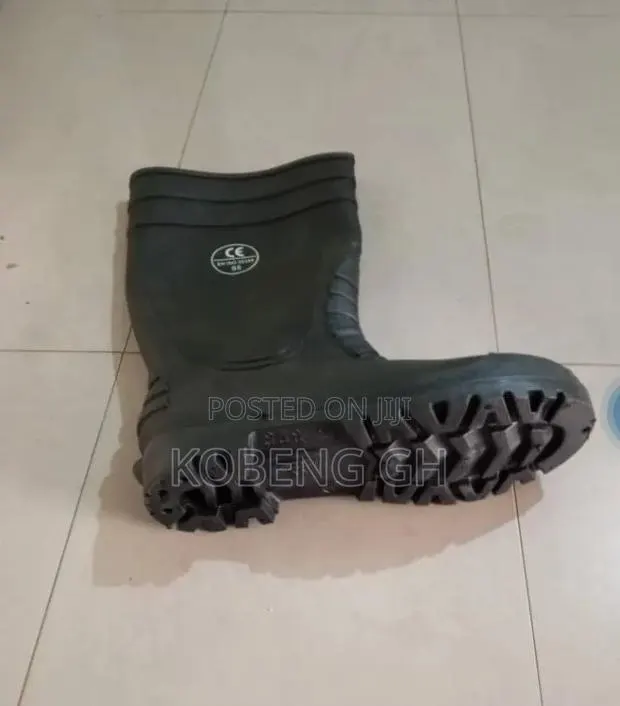 Rain Boot Or Wellington Boot · Photo 1