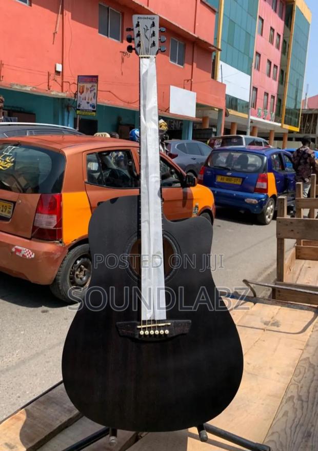 Stringberg 6-String Semi-Acoustic Guitar · Photo 1