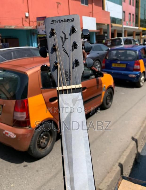 Stringberg 6-String Semi-Acoustic Guitar · Photo 3