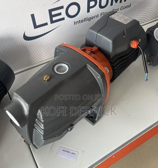 2hp Leo Pump (Cast) - Leo Surface Pump · Photo 1