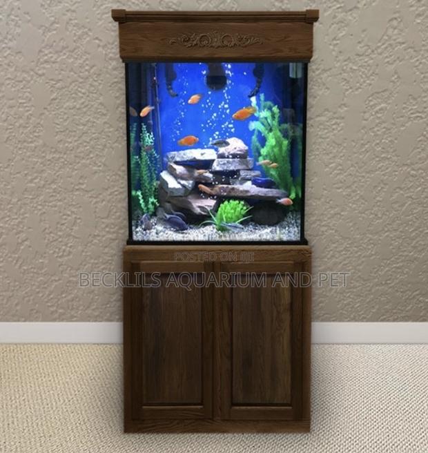 Package Aquarium With Stand · Photo 1