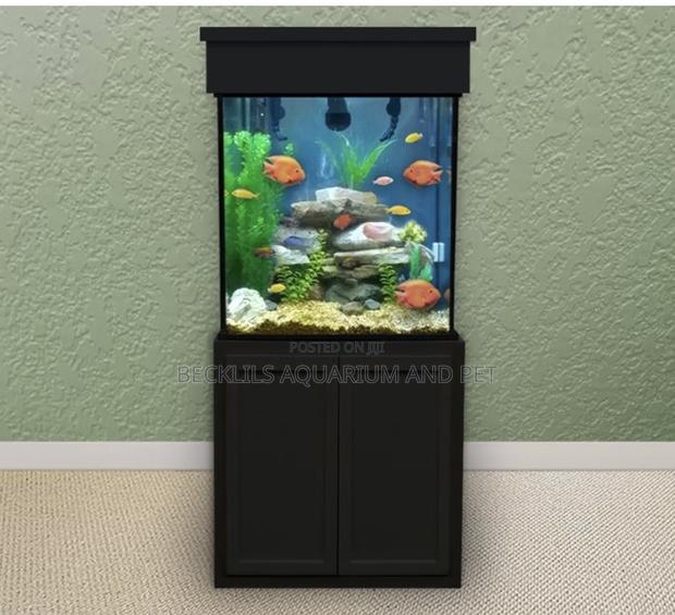 Package Aquarium With Stand · Photo 3