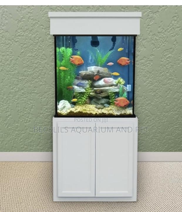 2 Feet Package Aquarium With Stand · Photo 1