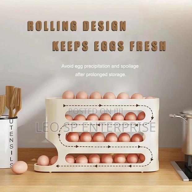 Automatic Egg Dispenser · Photo 3