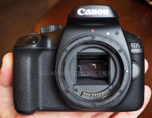Canon EOS 4000D: Your First Step Into DSLR Photography · Photo 1