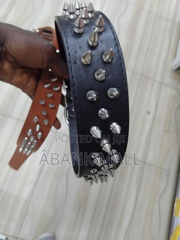 Dog Collar · Photo 2