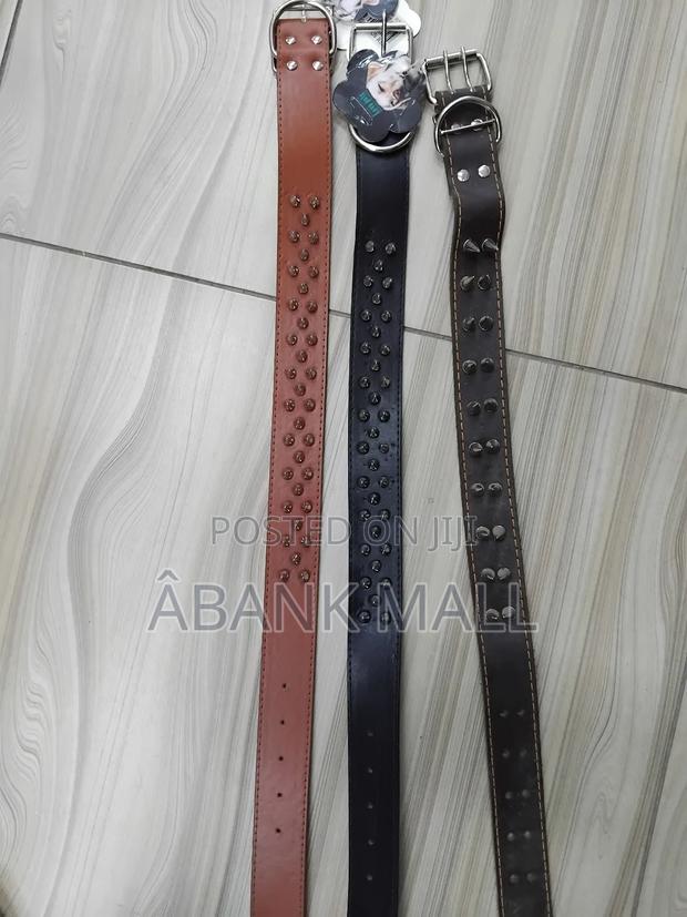 Dog Collar · Photo 3