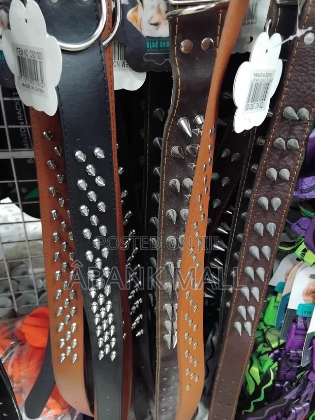 Dog Collar · Photo 5