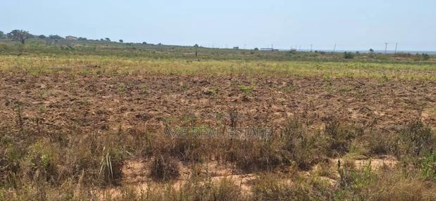 Christmas Bonanza on Plots at Prampram Beach Lane · Photo 2