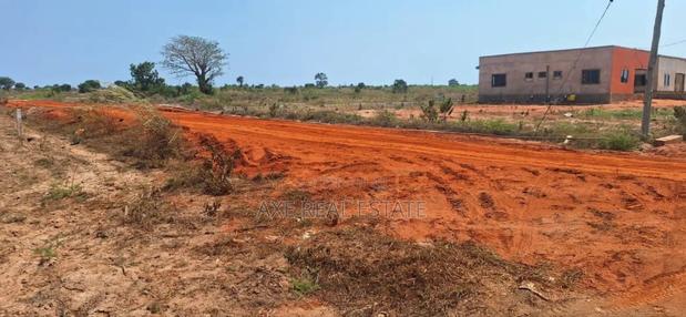 Half Plot> Limited Offers at Tema Community 25 · Photo 2