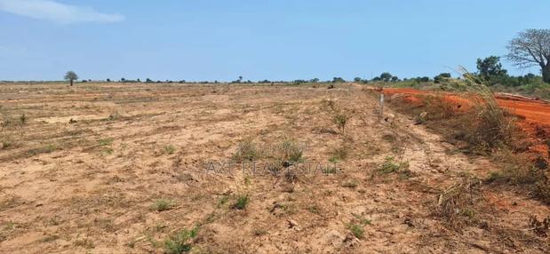 Enticing Discount on Half Plots at Dahwenya · Photo 1