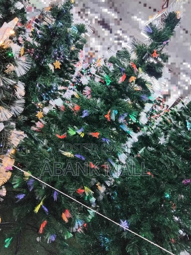 Christmas Tree · Photo 3
