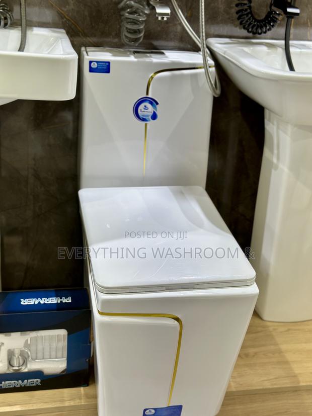 Water Closet and Hand Wash Basin Set-Wc-Basin-White and Gold · Photo 3