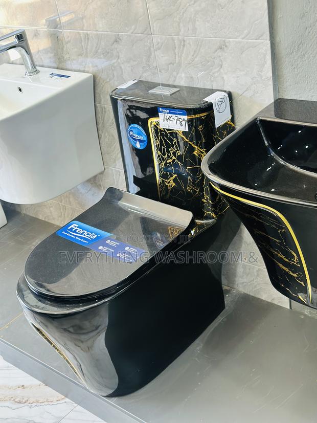 One Piece Water Closet_ Black and Gold Wc and Hanging Basin · Photo 3