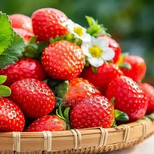 Sweet Strawberry Seeds for Planting – Home Garden, Balcony Pot Grow · Photo 3