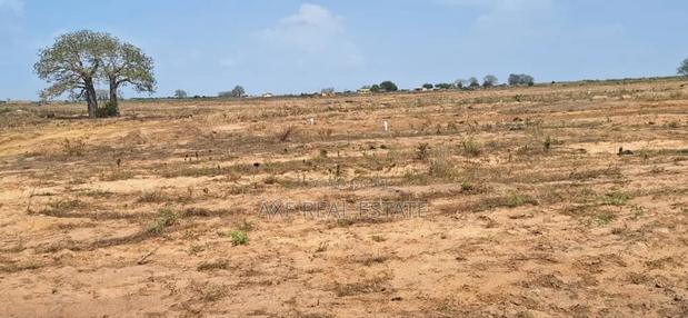 Rush for Road Side Plots at Afienya - Shai Hills · Photo 1