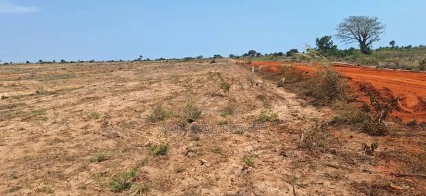 Get Half Plots at Reduced Price - Prampram Beach Lane · Photo 2