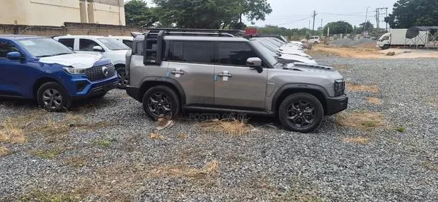 New Jetour T2 2.0 Petrol AWD 2024 Gray · Photo 1