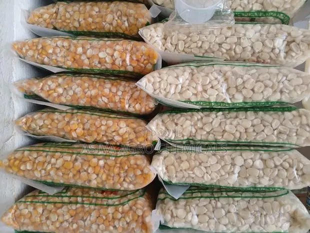 Planting Maize · Photo 1