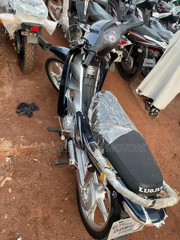 New Luojia 110cc 2022 · Photo 1