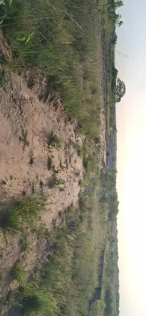 The Ideal Multipurpose Half Plot> Prampram New Ningo · Photo 1