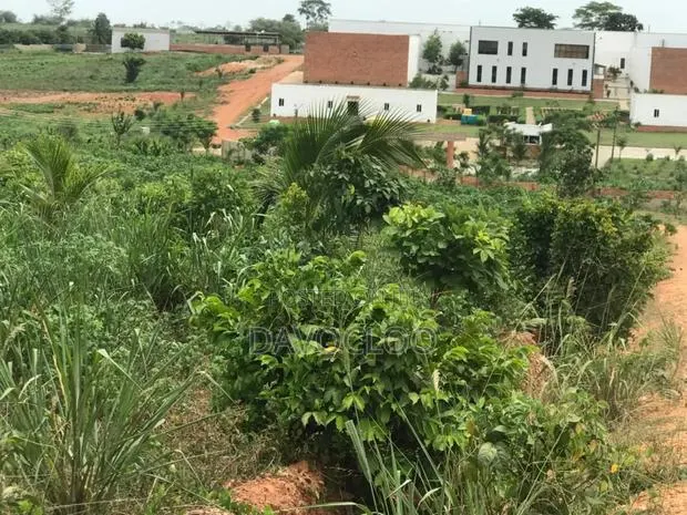 Serviced Plots Near Akotsi Junction – Only GHS (Flexible Payment ) · Photo 1