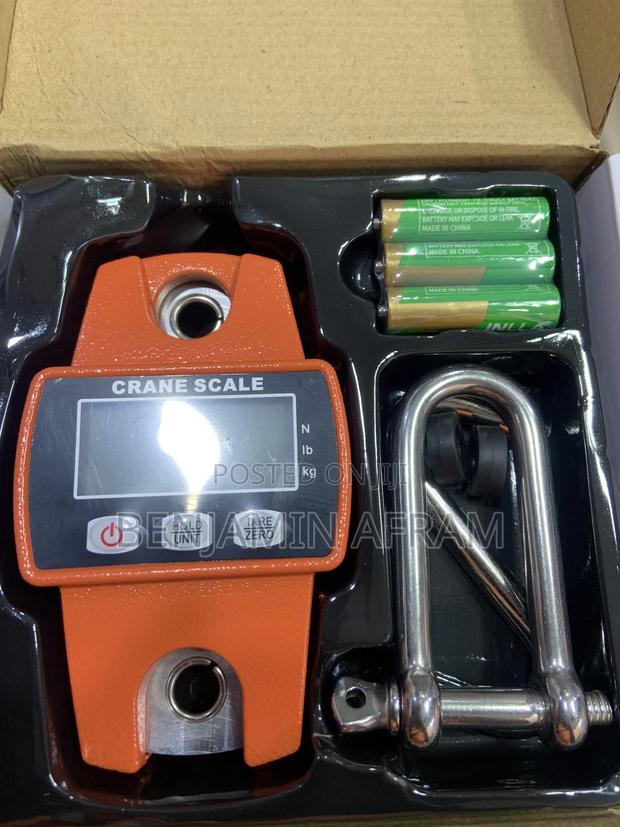 Battery Scale · Photo 4