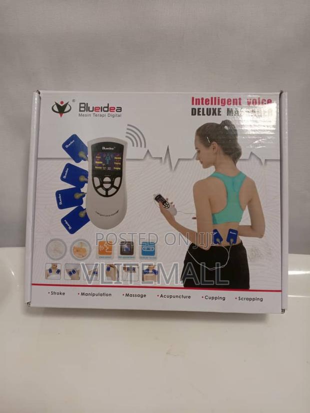 Intelligent Voice Deluxe Massager · Photo 1