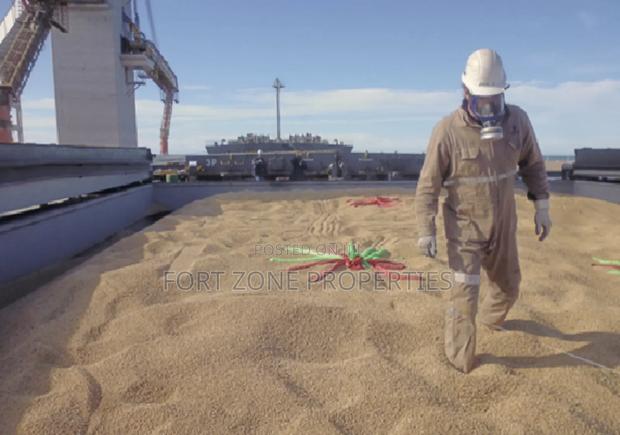 Mining Sites Pest Control in Ghana · Photo 4