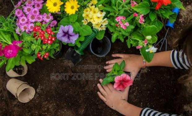 Fumigation and Gardening Service · Photo 2