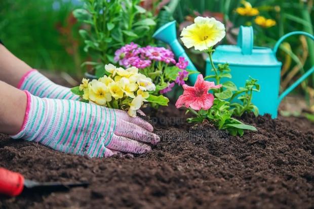 Fumigation and Gardening Service · Photo 3