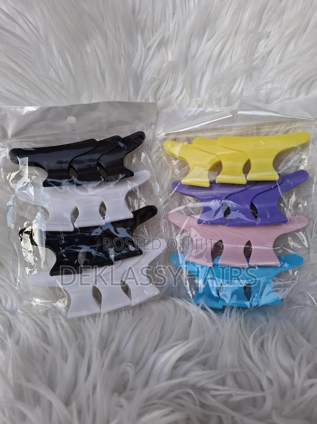 Hair Clips · Photo 3