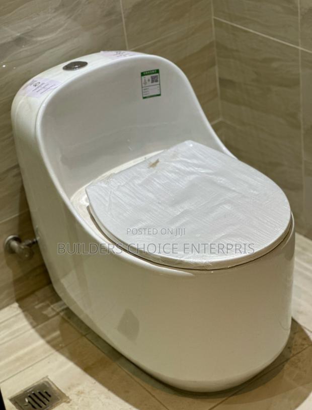 Modern Jet Flushing _Water Closet · Photo 1