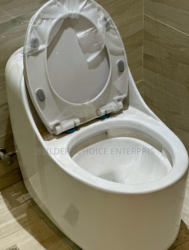 Modern Jet Flushing _Water Closet · Photo 2